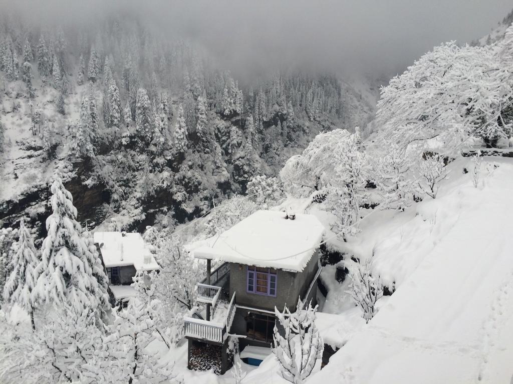 Kanyal Heights Hotel - Manali (Himachal Pradesh) — Photos 3